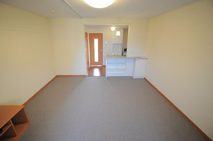 レオパレス扇213の居間