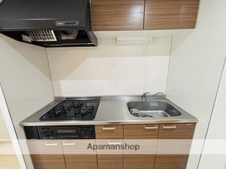 熊本県熊本市東区長嶺南4丁目の賃貸マンションのキッチン