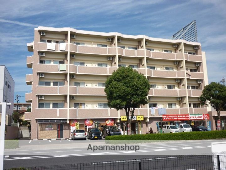 熊本県熊本市東区錦ケ丘の賃貸マンションの外観