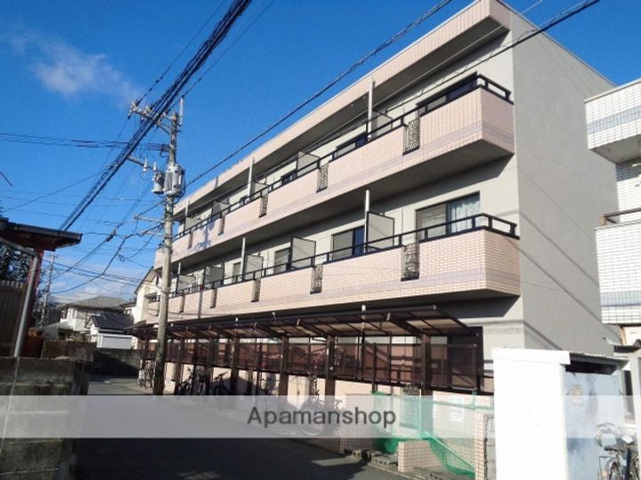 熊本県熊本市中央区渡鹿3丁目の賃貸マンションの外観