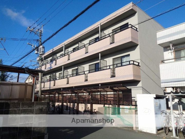 熊本県熊本市中央区渡鹿3丁目の賃貸マンションの外観