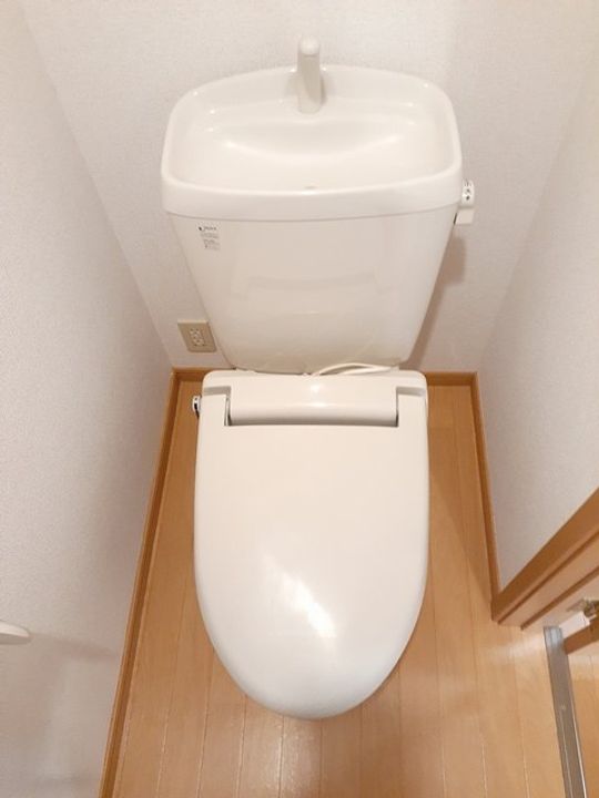 バンブーフォレスターのその他画像