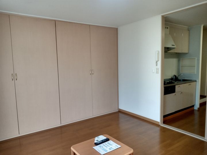 レオパレスはませんA105の居間