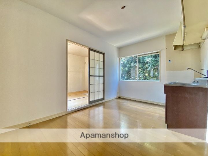 熊本県熊本市南区田迎2丁目の賃貸アパートの内装