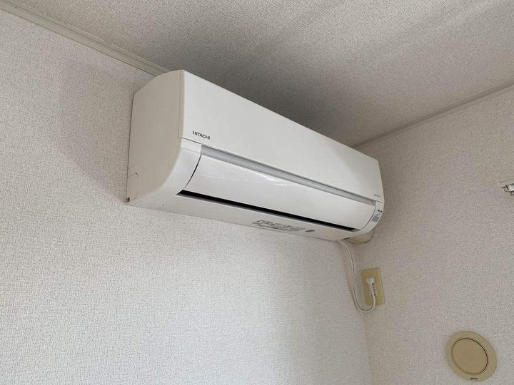 サンフラワーCのその他画像