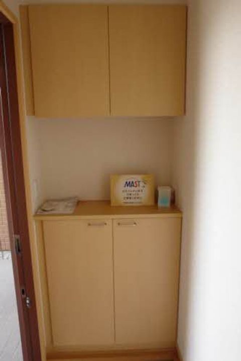 熊本県宇城市松橋町曲野の賃貸アパートの玄関