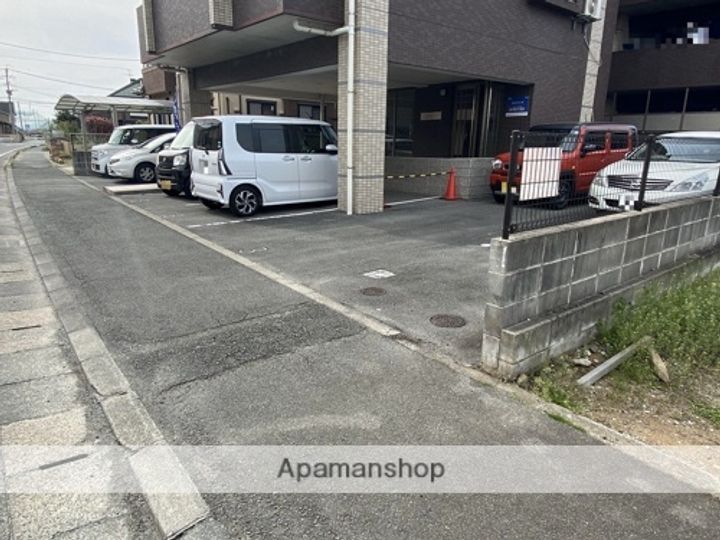 コンド・リーザのその他画像