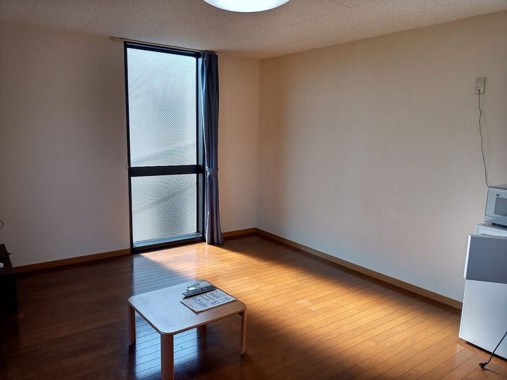 レオパレス武蔵ヶ丘202の居間