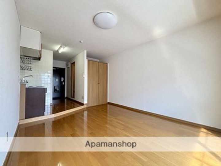 熊本県熊本市中央区渡鹿3丁目の賃貸アパートの内装