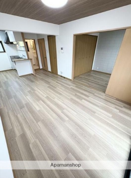 熊本県熊本市中央区渡鹿4丁目の賃貸マンションの内装