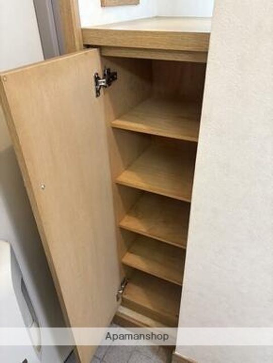 熊本県熊本市南区御幸笛田4丁目の賃貸マンションの内装