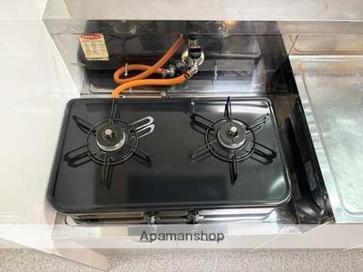 熊本県熊本市南区御幸笛田4丁目の賃貸マンションの内装