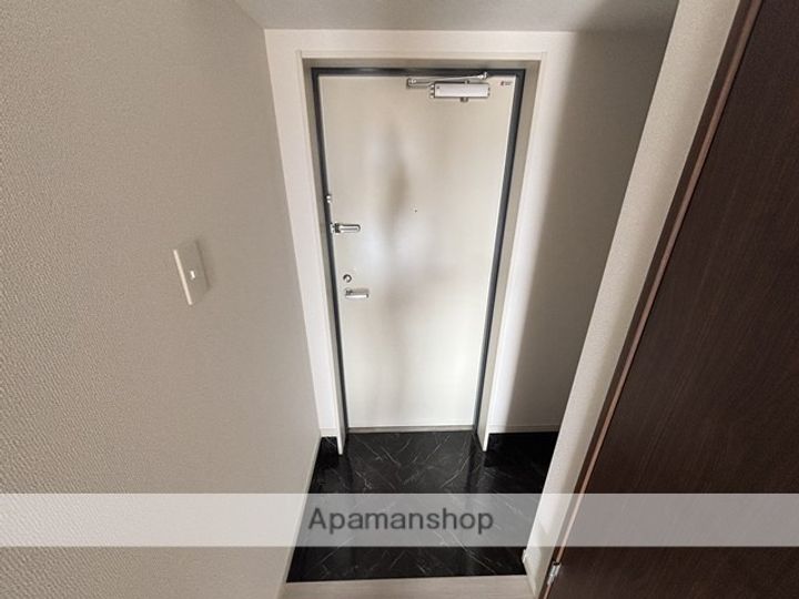 熊本県熊本市中央区本荘町の賃貸マンションの玄関