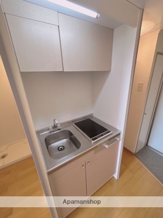 熊本県熊本市西区新土河原2丁目の賃貸アパートのキッチン