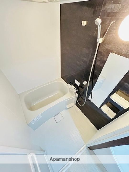 熊本県熊本市東区尾ノ上4丁目の賃貸マンションの風呂