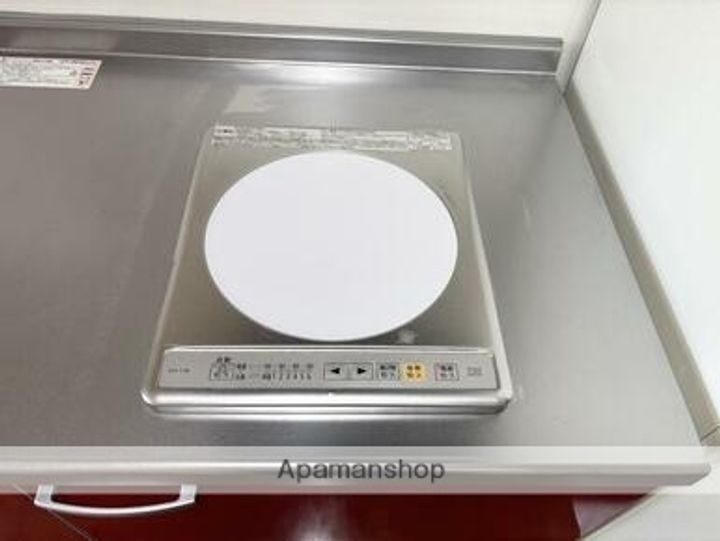 熊本県熊本市中央区南熊本5丁目の賃貸マンションの内装