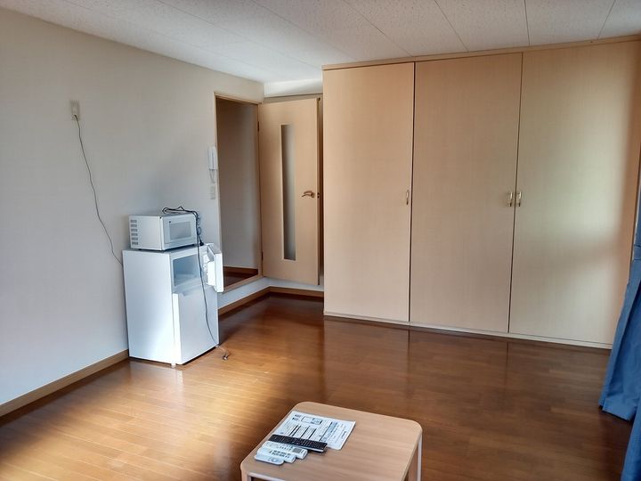 レオパレス武蔵ヶ丘101の居間