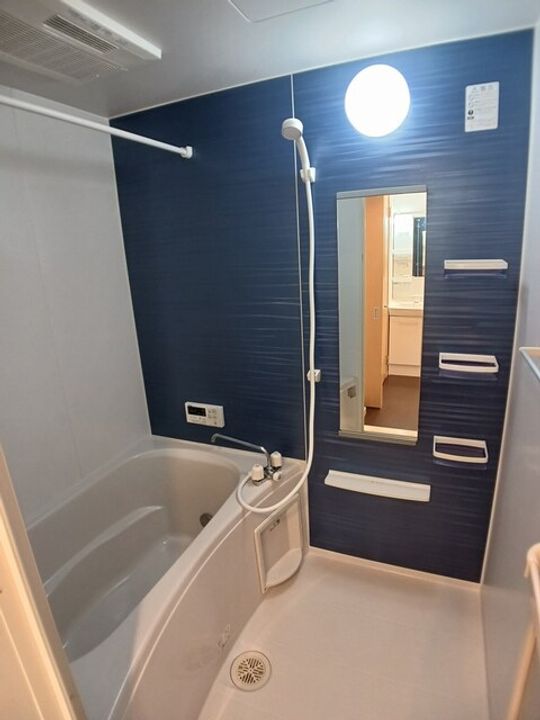 グレイスフル松山の風呂