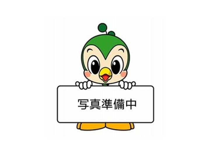 PLUMA BRANCA207の周辺