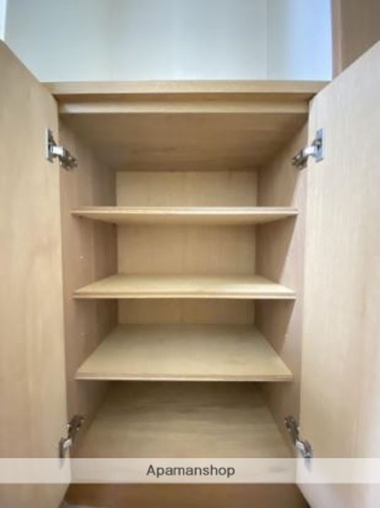 熊本県熊本市東区新南部3丁目の賃貸マンションの内装