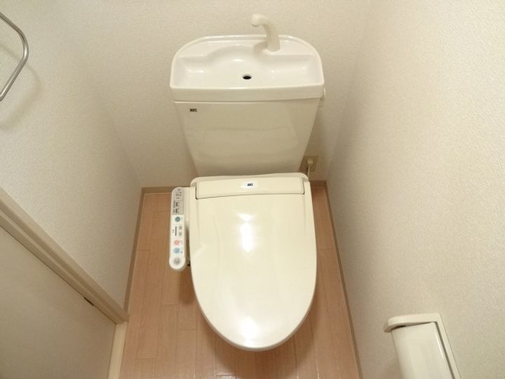 サイネリア丸美103のその他画像
