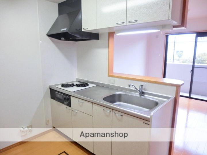 熊本県熊本市南区近見6丁目の賃貸マンション103のキッチン