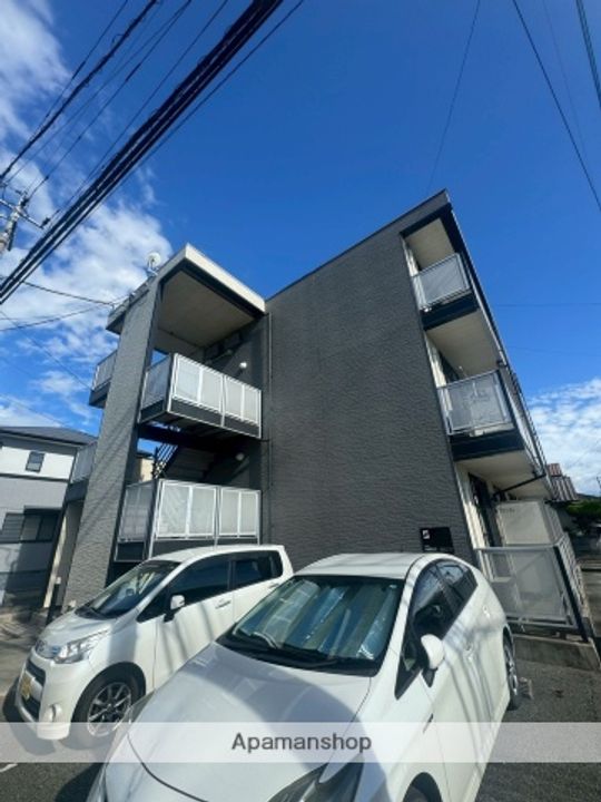 ピカソ出仲間の外観