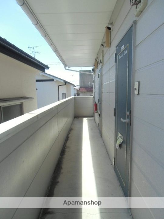 ピカソ若葉のその他画像