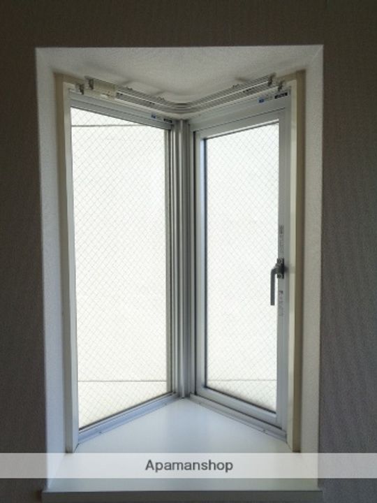 熊本県熊本市中央区渡鹿6丁目の賃貸マンション302の内装