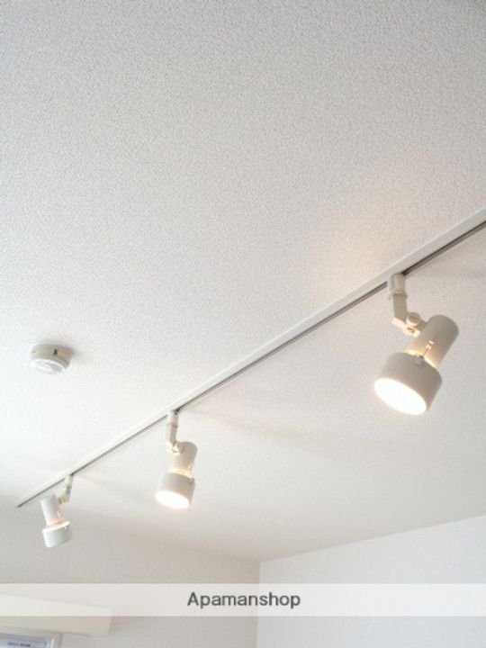 熊本県熊本市中央区渡鹿6丁目の賃貸マンション302の内装