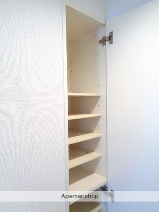 熊本県熊本市中央区渡鹿6丁目の賃貸マンション302の内装