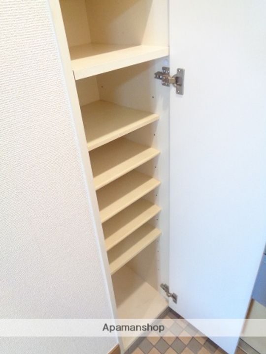 熊本県熊本市中央区渡鹿6丁目の賃貸マンション302の内装