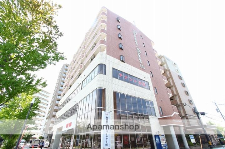 タンネンバウムⅢ607の外観