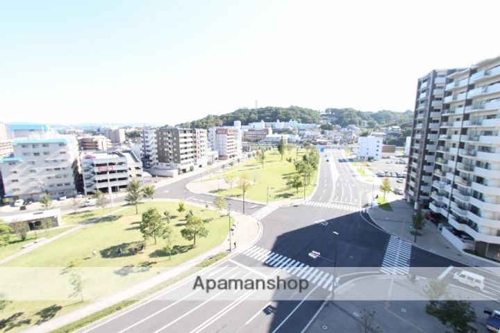 タンネンバウムⅢ607の周辺