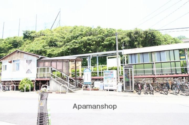 ディアスやよいの周辺