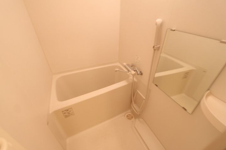 エタニティ古国府110の風呂