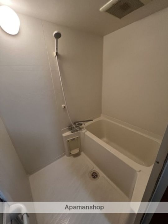 DREAM.M仲町303の風呂