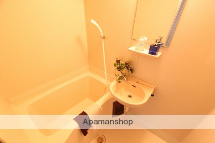 レピュート芳万201の風呂