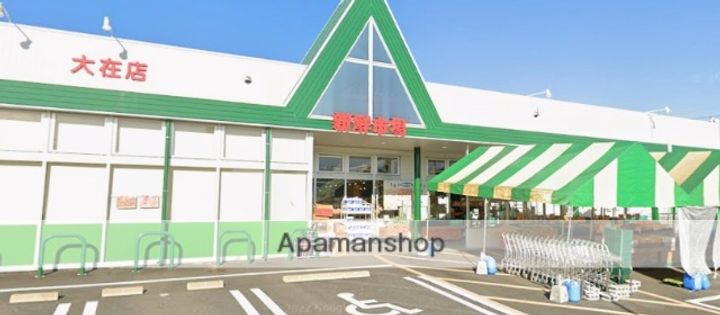 ディアスパルモSⅡの周辺