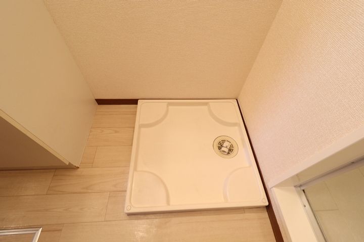 グリーン ティアラ Bのその他画像