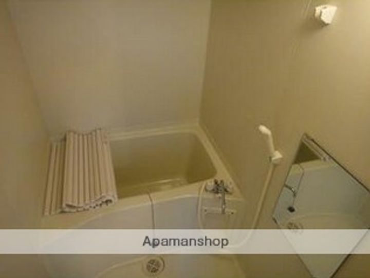 プレミール15番館101の風呂