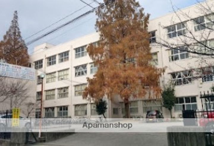 ナイスモア中島の周辺