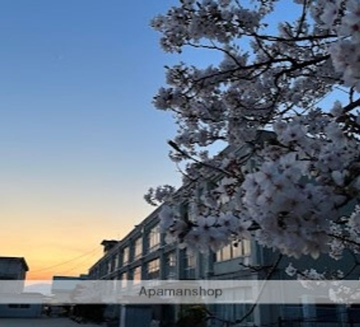 プランドール7番館502の周辺