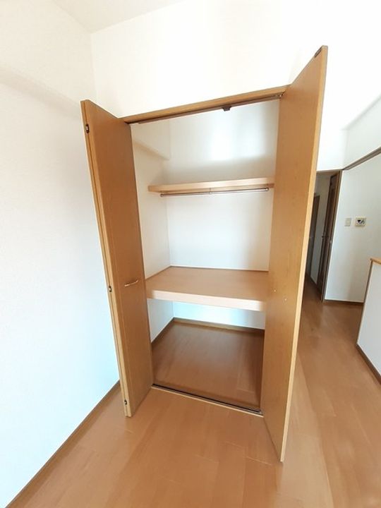 STELLA MINAMIのその他画像