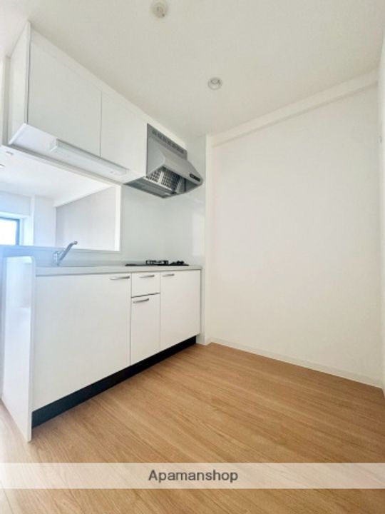 スカイメゾン新町1302のキッチン