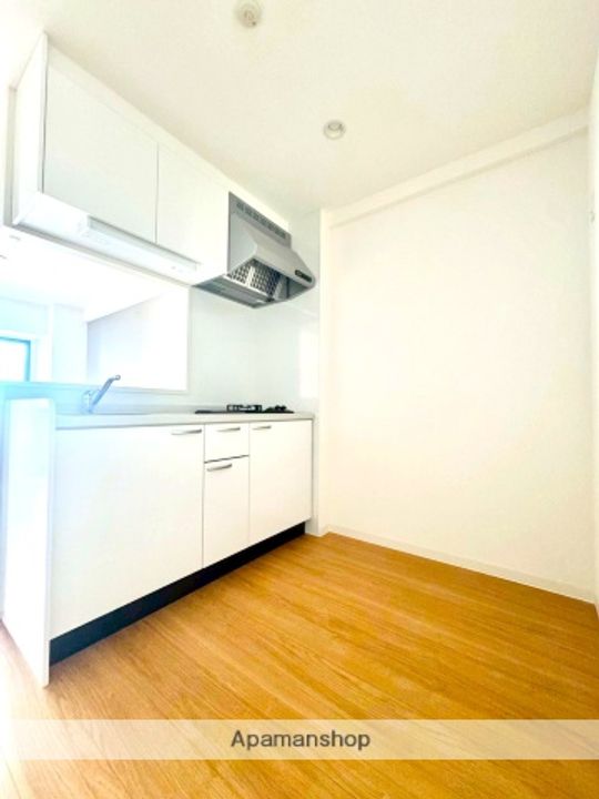 スカイメゾン新町303のキッチン