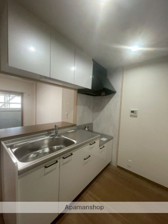 レモンテラスHASAMAⅡのキッチン