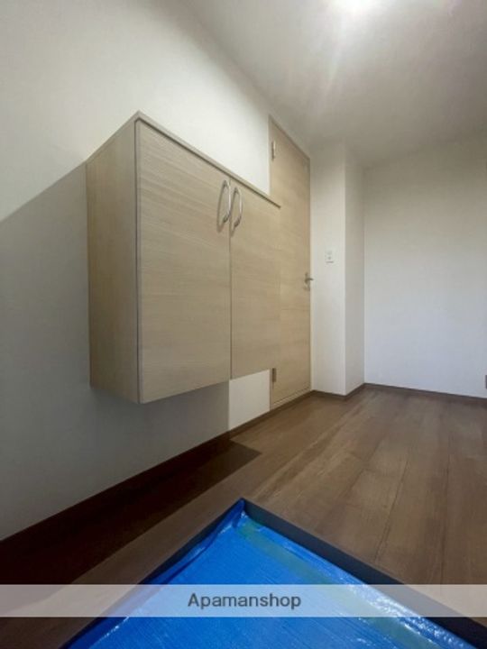 レモンテラスHASAMAⅡの玄関