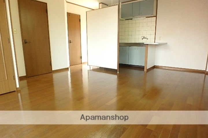 プチメゾン上町201の居間