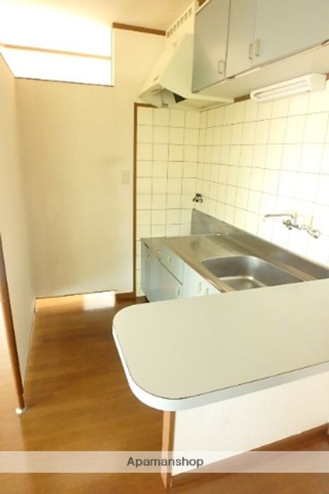 プチメゾン上町201のキッチン